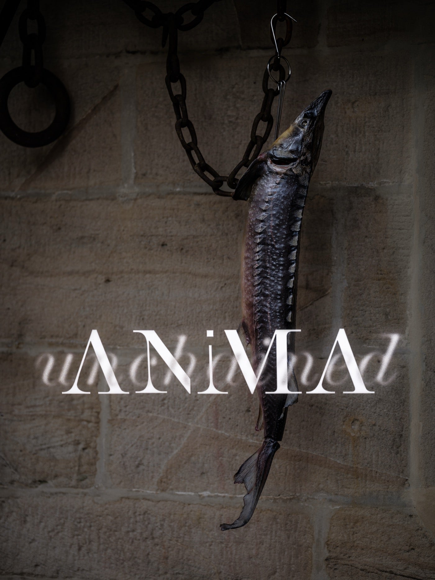 ANIMA unchained – einmaliger Einblick in die Schatzkammer ab €410,00 p.P.